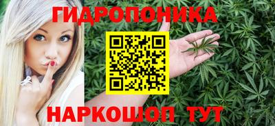 гидра Краснокаменск