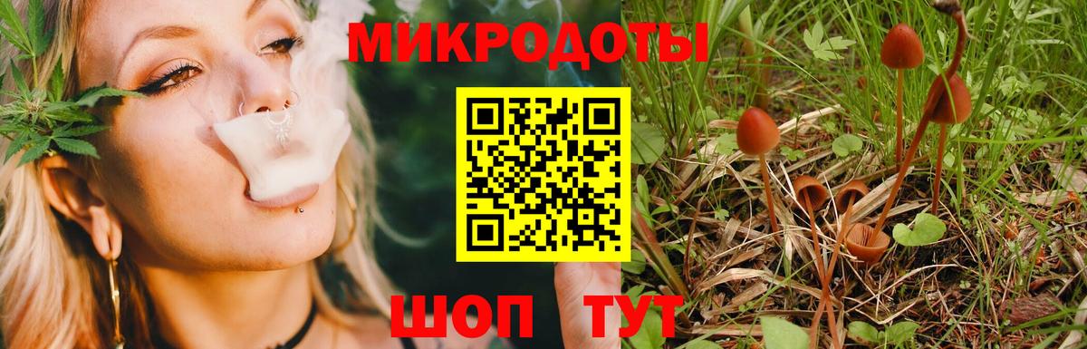 Кузнецк  купить наркотики цена  Псилоцибиновые грибы ЛСД  Вход с VPN  Галлюциногенные грибы мухоморы 